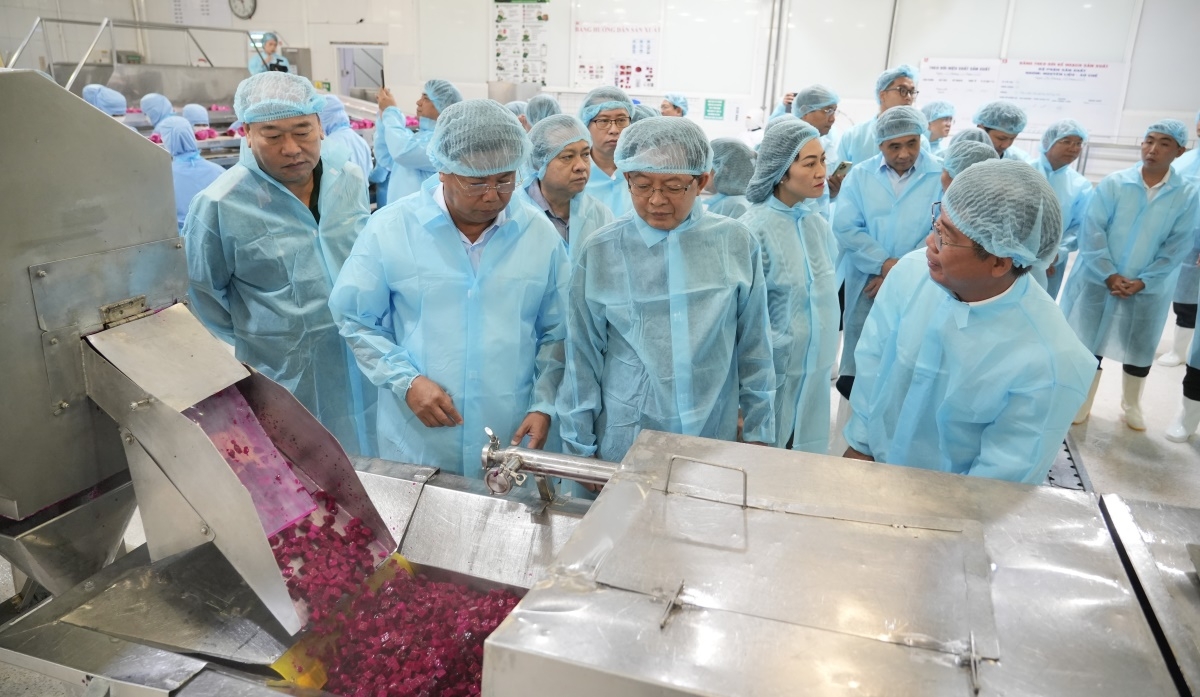 Phó Thủ tướng Chính phủ Hồ Quốc Dũng đi thăm một số doanh nghiệp sản xuất ở tỉnh An Giang. Ảnh: Lam Hiếu/VOV-ĐBSCL