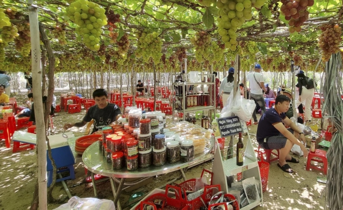 Produk khas yang dibuat dari buah anggur (Foto : internet)