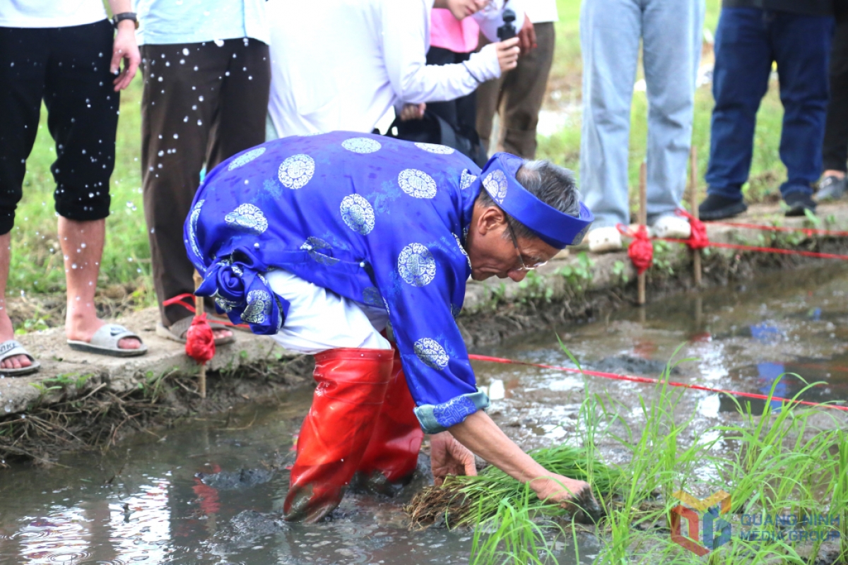 Ông chủ tế cấy những cây lúa đầu tiên trước sự chứng kiến của nhân dân. Ảnh: Báo Quảng Ninh