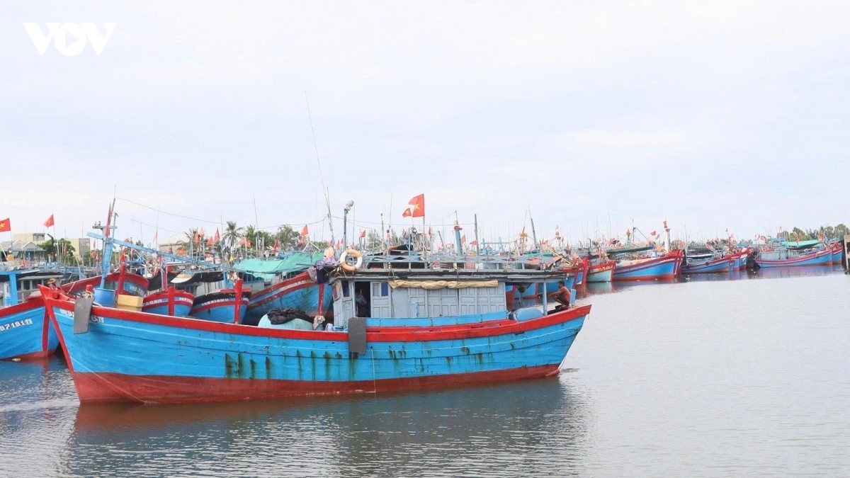 Fishing boats anchor at Tinh Hoa fishing port, Quang Ngai province. (Photo: VOV)