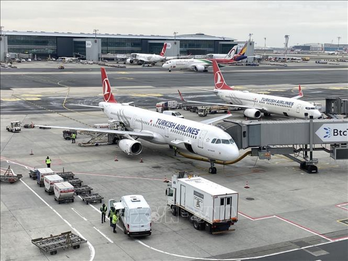 Самолеты Turkish Airlines. Фото: VNA