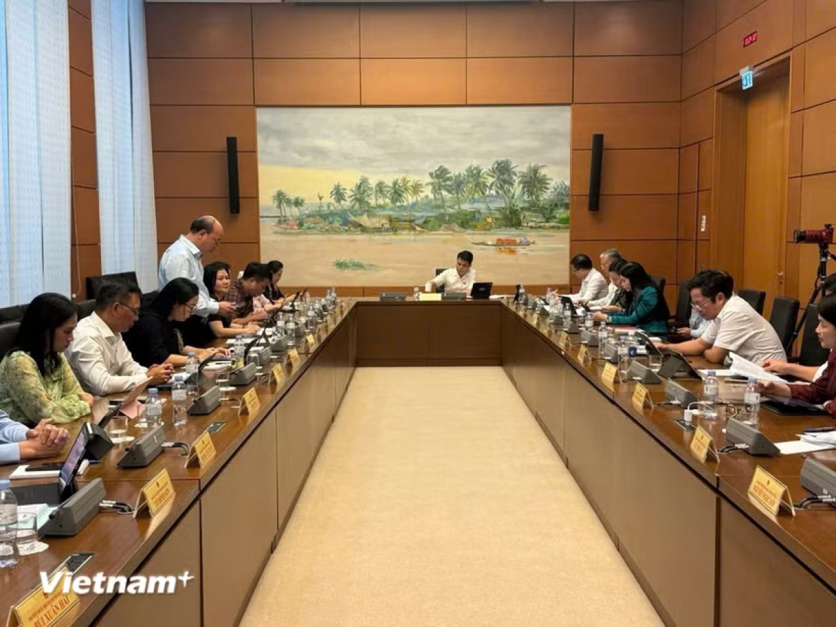 Các đại biểu thảo luận tại tổ. Ảnh: PV/Vietnam+