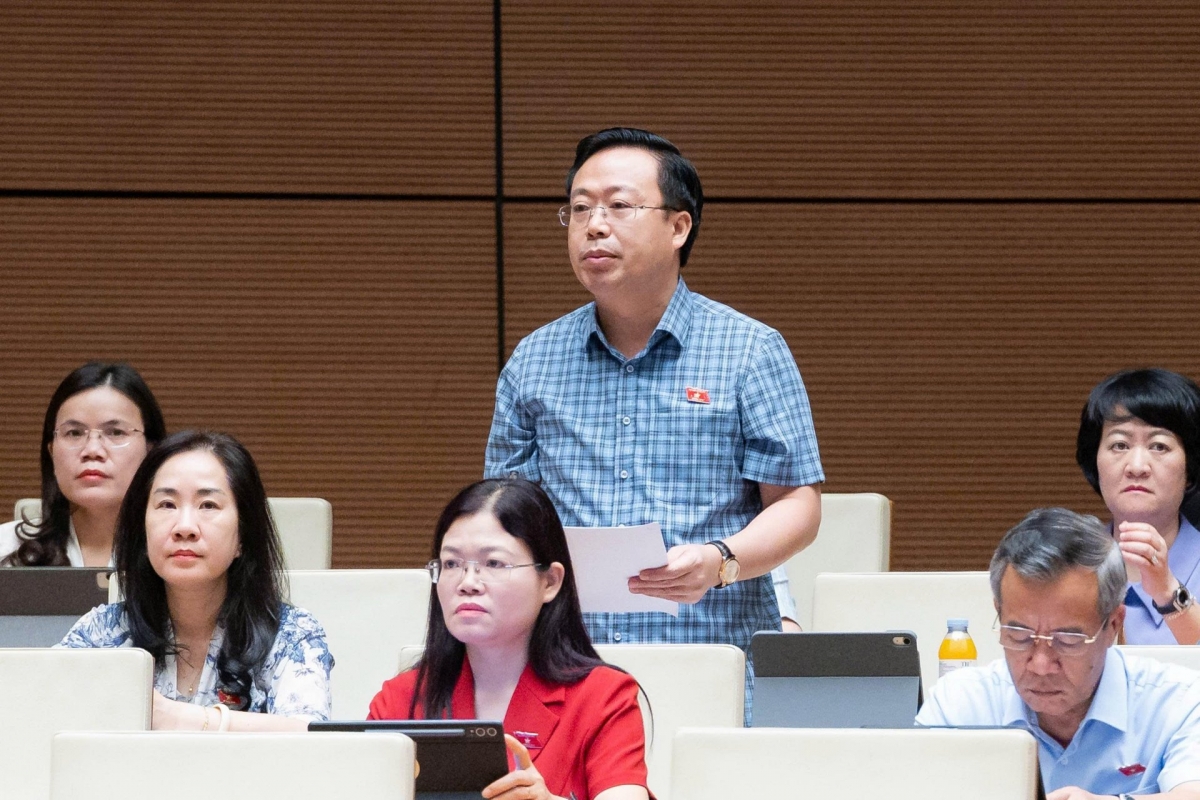 北部フンイエン省選出のグエン・ダイ・タン議員（写真： quochoi.vn）