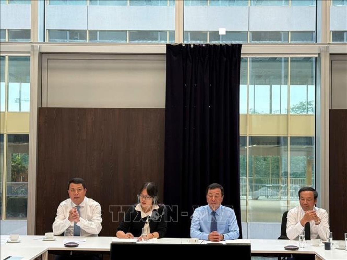 At the talks on high-tech agriculture cooperation between the Phu Tho provincial delegation and representatives of the Flanders regional government (Photo: VNA correspondent in Belgium)