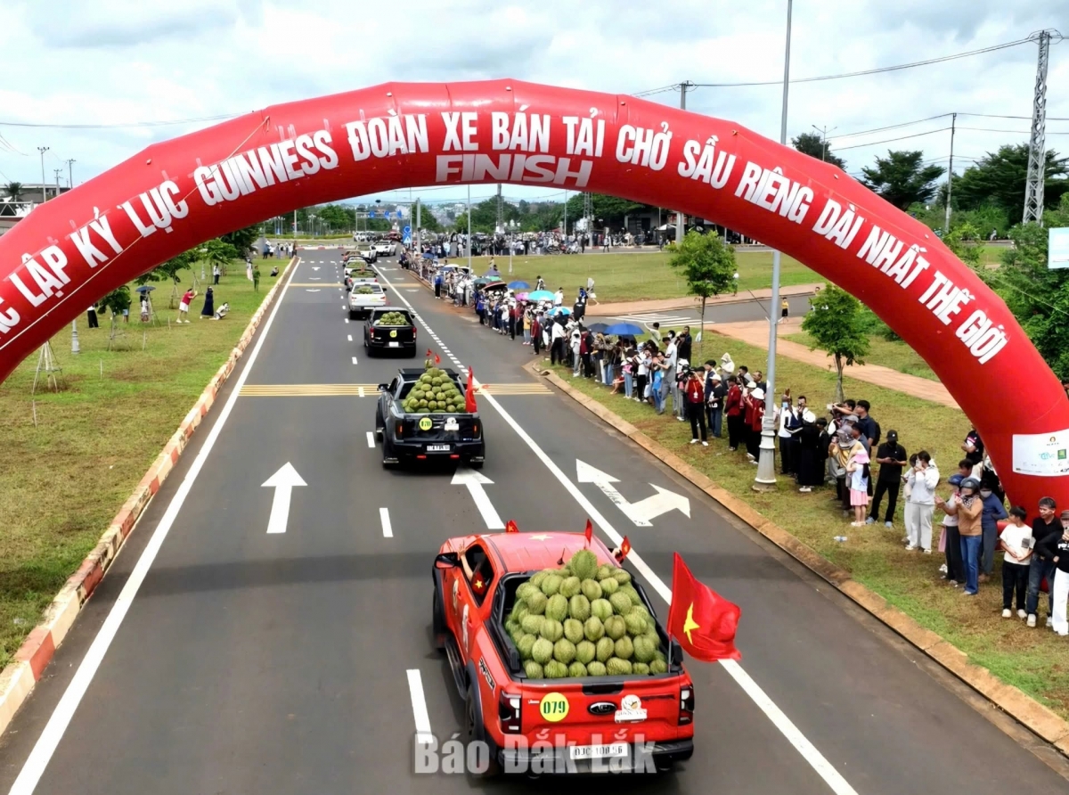 รถกระบะกว่า 500 คันที่บรรทุกทุเรียนกว่า 1,000 ตัน (Photo: หนังสือพิมพ์ดั๊กลัก)