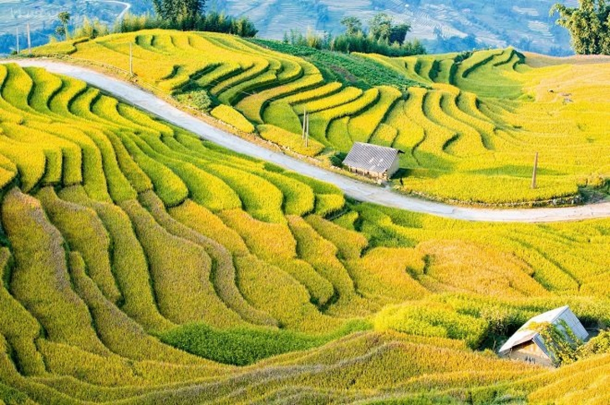 Das Y-Ty-Herbstfest wird vom 22. August bis zum 15. November 2026 in der Provinz Lao Cai stattfinden. (Foto: thuonghieucongluan.com.vn)