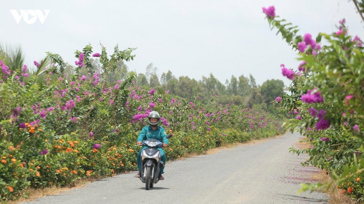 Đứng trước cánh đồng trải dài phía trước đền tưởng niệm, đâu đó dưới lớp đất này vẫn còn nhiều liệt sĩ chưa được tìm thấy. Mong mỏi lớn nhất là một ngày nào đó có thể quy tập đầy đủ các anh về nghĩa trang, để mỗi người đều có một nơi yên nghỉ đàng hoàng.