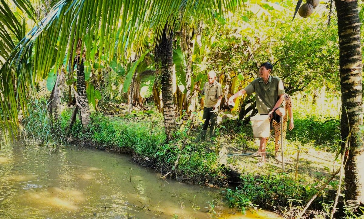 Bapak Nguyen Van Cha selalu aktif berpartisipasi dalam pengembangan produksi dan berkontribusi bagi kampung halaman. Foto: VOV