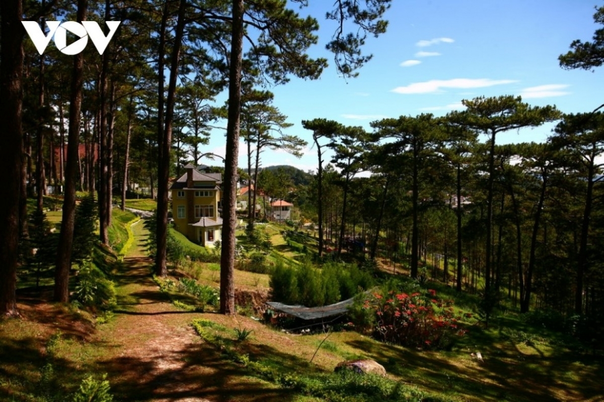 Da Lat township in Lam Dong province attracts visitors with its cool climate, colourful flower seasons and peaceful scenery.