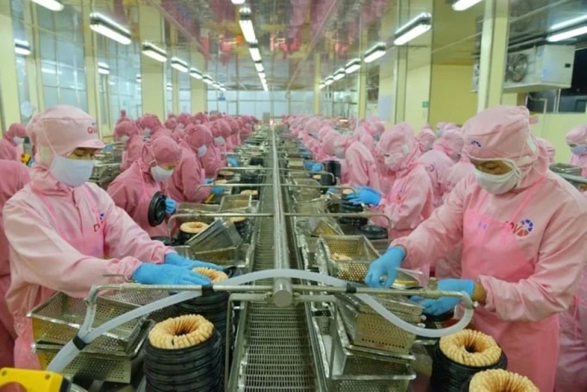 Vietnam's seafood exports rises 12% in first eight months of 2026 (Photo: Ministry of Agriculture and Environment)