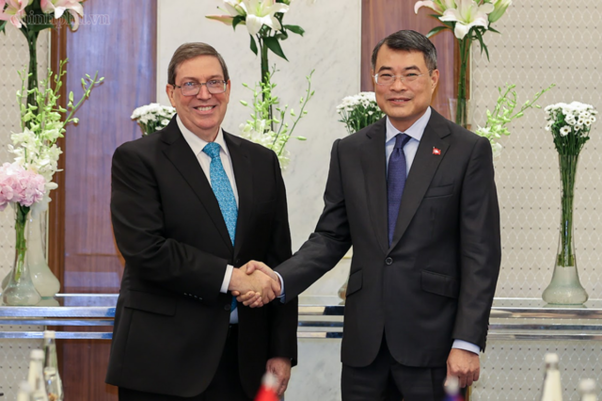 El primer ministro de Vietnam Le Minh Hung (d) y el miembro del Buró Político y ministro de Relaciones Exteriores de Cuba, Bruno Rodríguez Parrilla. Foto: VGP