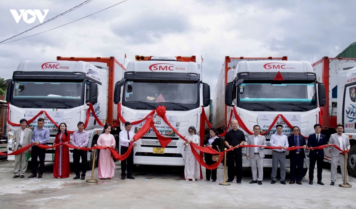 Les deux premiers conteneurs de durian surgelé destinés à l'exportation effectuent les procédures de départ de l'usine. Photo: VOV