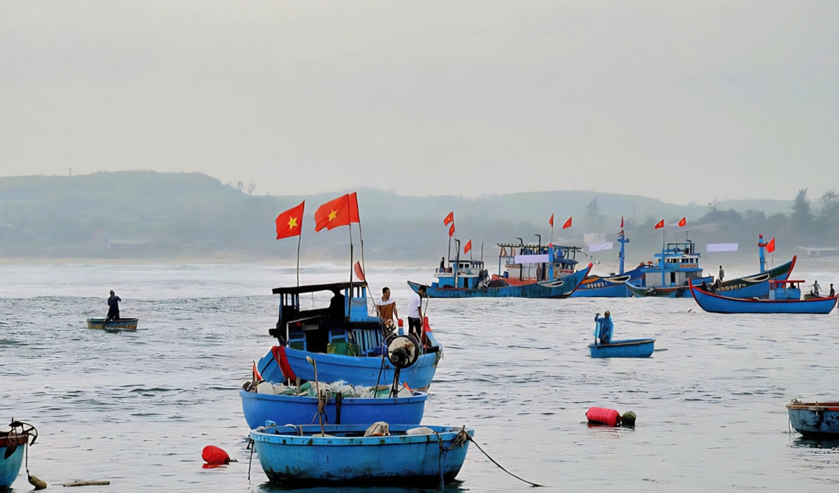 Fishing vessels in Quang Ngai province (Photo: Ha Lan)