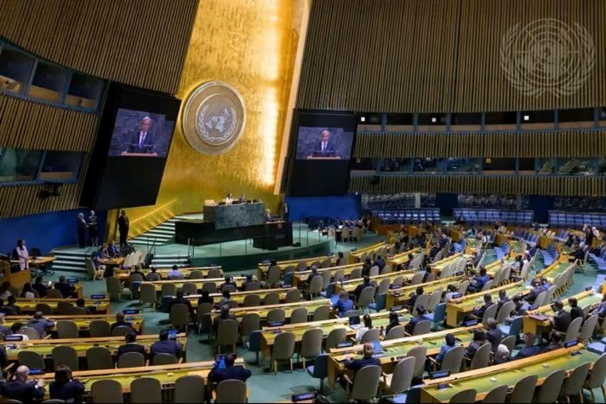 图片来源：UN News
