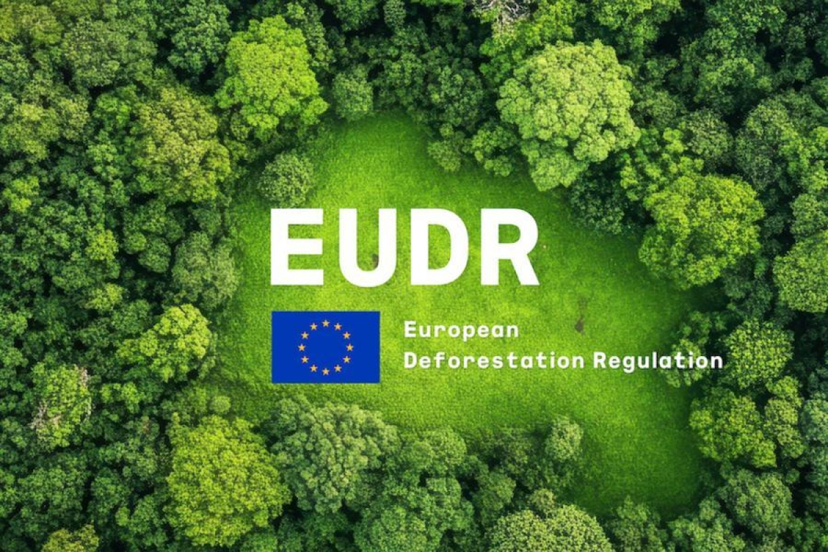 L’entrée en vigueur de l’EUDR d'ici la fin de l'année va peser lourdement sur les exportations agricoles vietnamiennes vers l’UE. Photo: EUDR