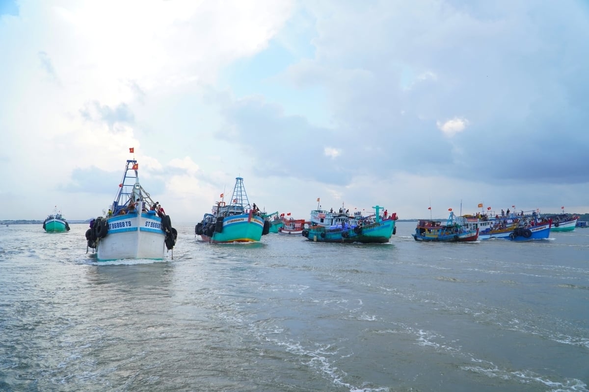 The Can Tho Department of Agriculture and Environment releases the report on the state of the marine and island environment for the 2021–2025 period (Photo: Kim Anh)