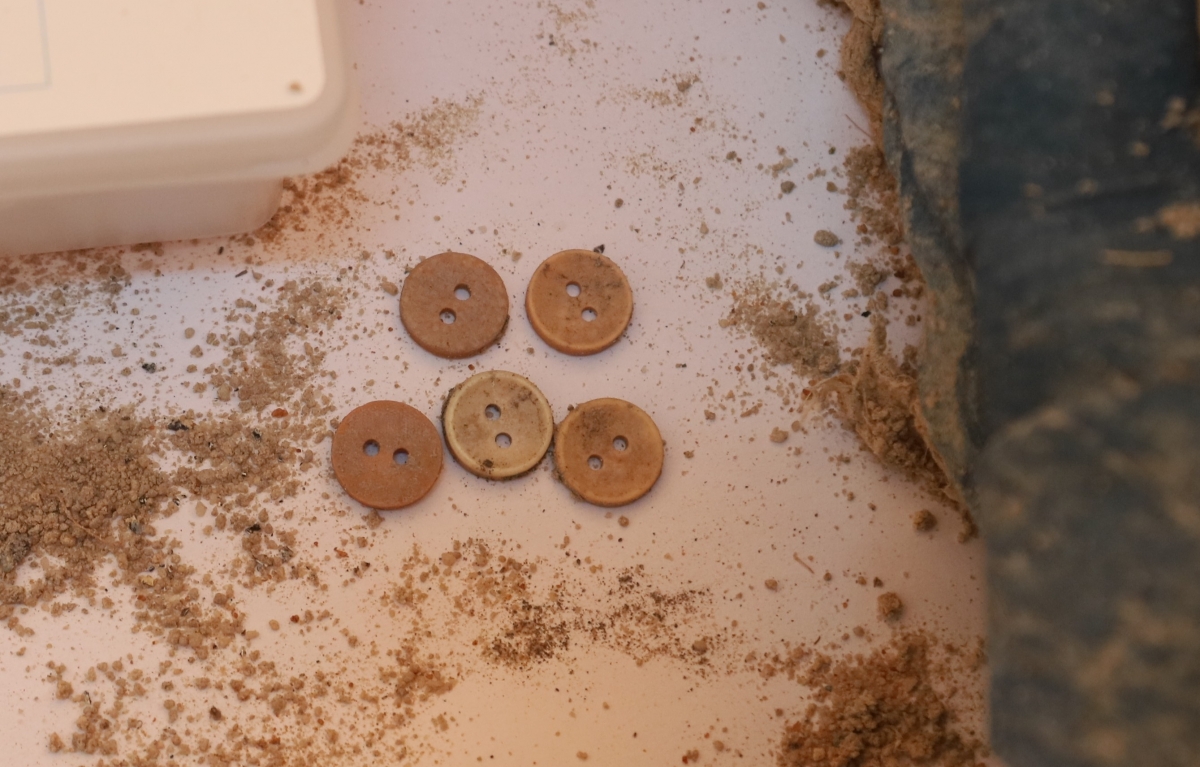 Buttons found in an area containing the remains of fallen soldiers. (Photo: VOV)
