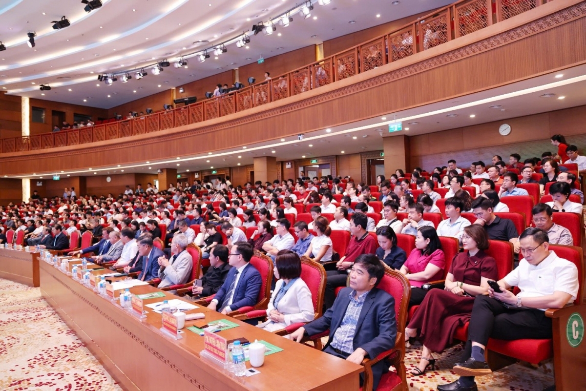 Hội nghị sử dụng tiếng Anh, với phiên toàn thể vào buổi sáng và hai phiên song song vào buổi chiều: phiên Nội khoa, phiên Ngoại khoa; với 26 tham luận của các Giáo sư thỉnh giảng và báo cáo kết quả nghiên cứu của nghiên cứu sinh.