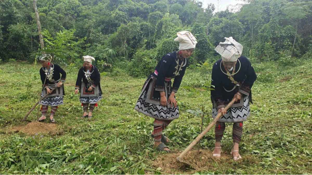 El desarrollo económico de las minorías étnicas está asociado con la nueva construcción rural. Foto: VOV