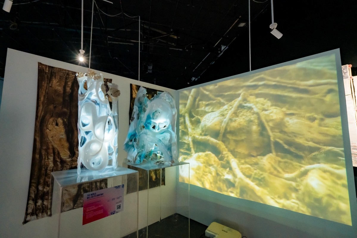 Die Werke der Ausstellung „Leben.Schaffen“ in Ho Chi Minh Stadt. (Foto: rmit.edu.vn)