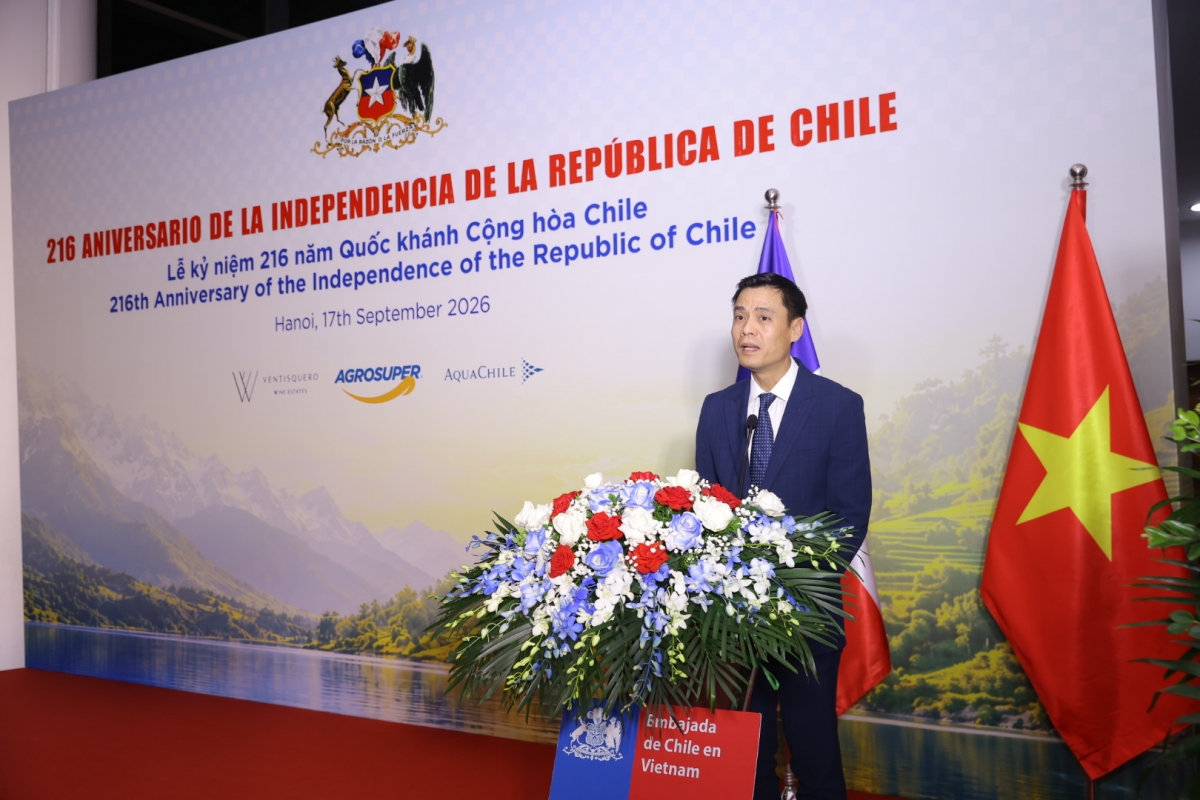 El viceministro de Relaciones Exteriores de Vietnam, Dang Hoang Giang, interviene durante la ceremonia. Foto: Embajada de Chile en Vietnam