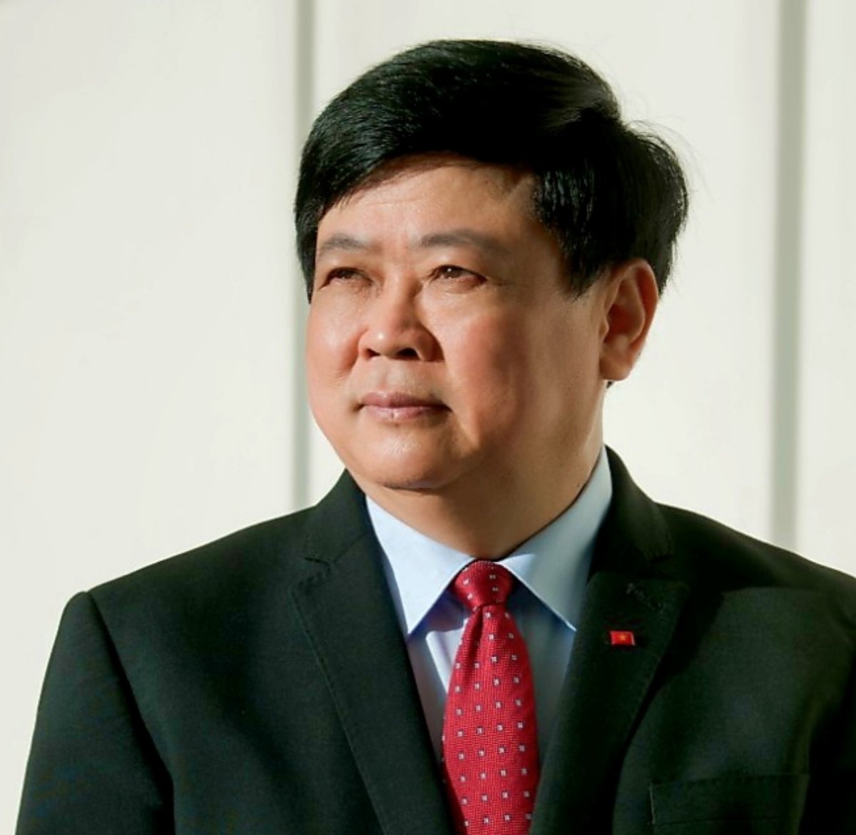 Le professeur associé et docteur Nguyên Thê Ky, chef du comité de théorie et de critique littéraires et artistiques. Photo: lyluanphebinh.vn
