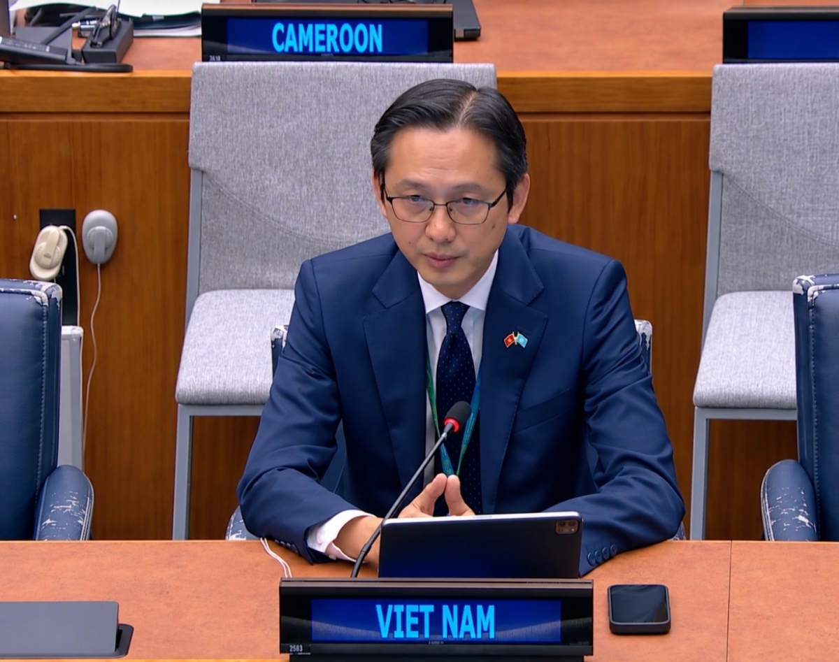 El embajador Do Hung Viet, jefe de la delegación vietnamita ante la ONU. Foto: VOV