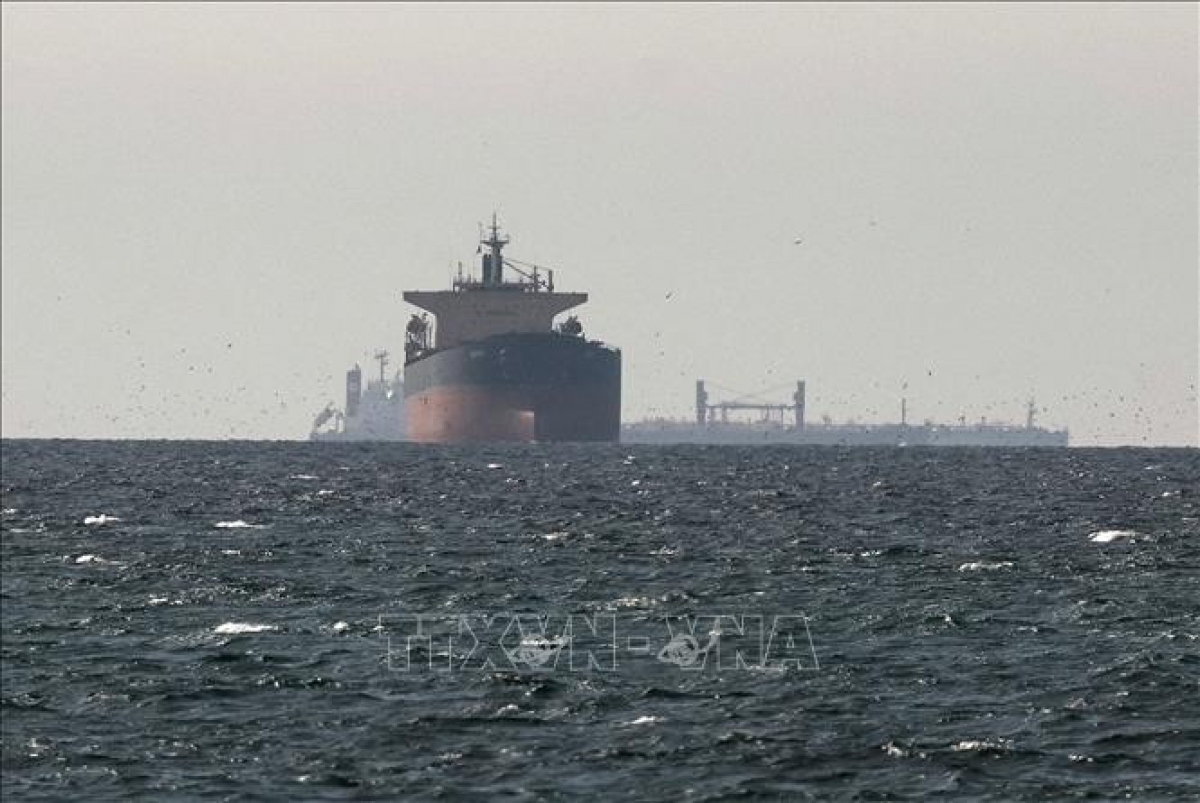 Cargo ships in the Strait of Hormuz (Photo: Xinhua/VNA)