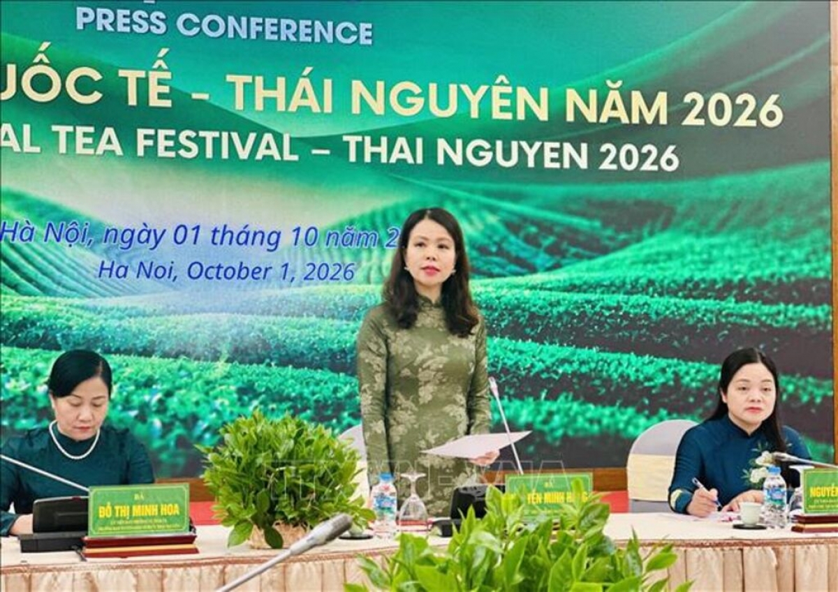 Deputy Minister of Foreign Affairs Nguyen Minh Hang speaks at the press conference. (Photo: Viet Duc/VNA)