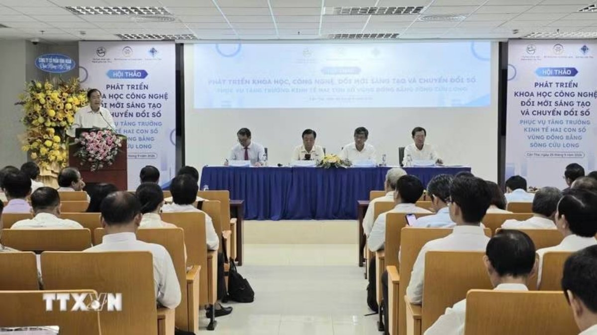 Overview of the seminar “Developing science, technology, innovation, and digital transformation to drive double-digit economic growth in the Mekong Delta,” on September 25 (Photo: Thu Hien/VNA)
