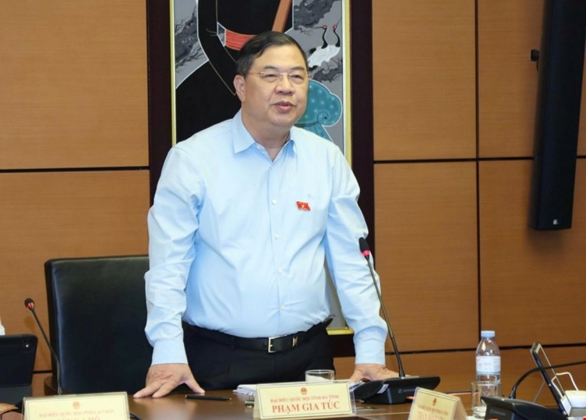 ファム・ザー・トゥック副首相（写真: quochoi.vn）