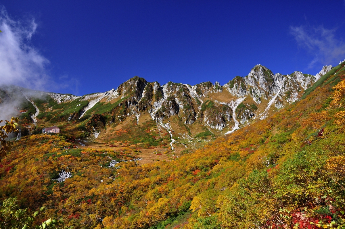 秋の千畳敷カール（写真：Go! NAGANO – 長野県公式観光サイト）