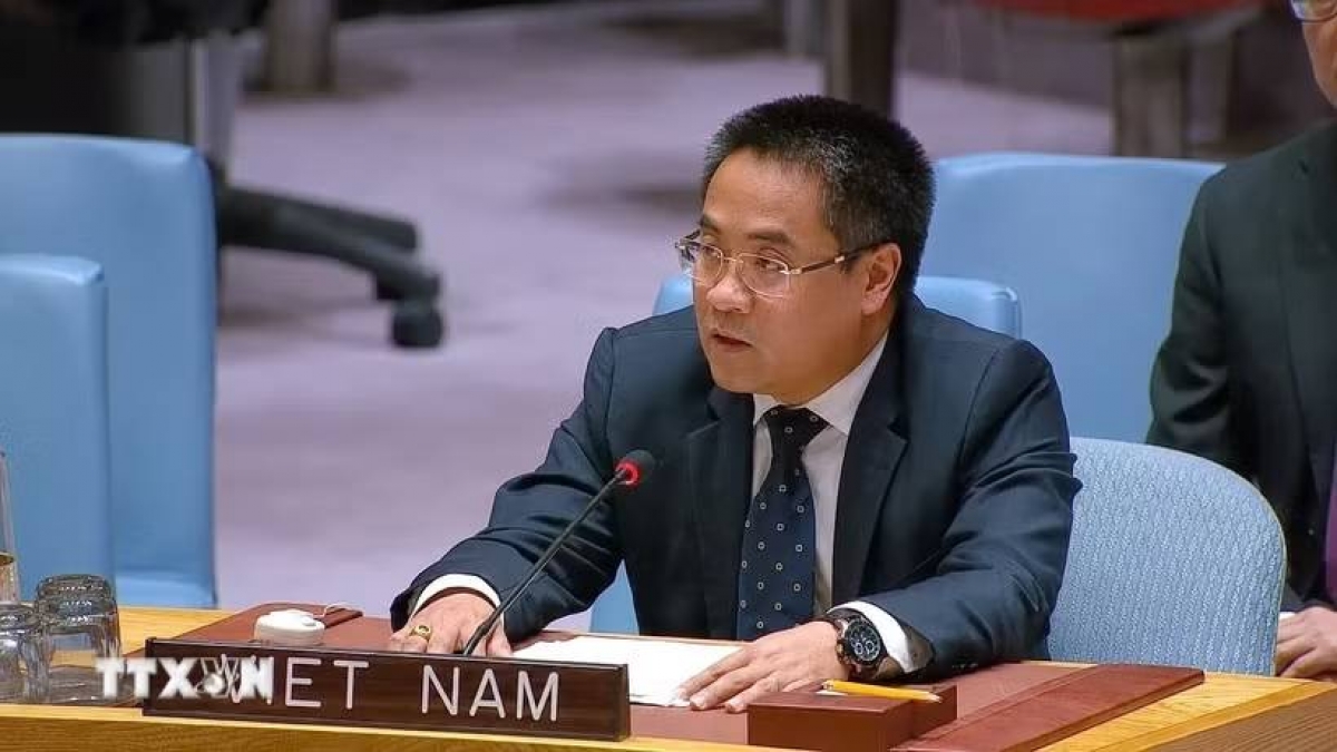 Deputy Permanent Representative of Vietnam to the United Nations, Minister Counsellor Nguyen Hai Luu (Photo: Thanh Tuan/VNA)