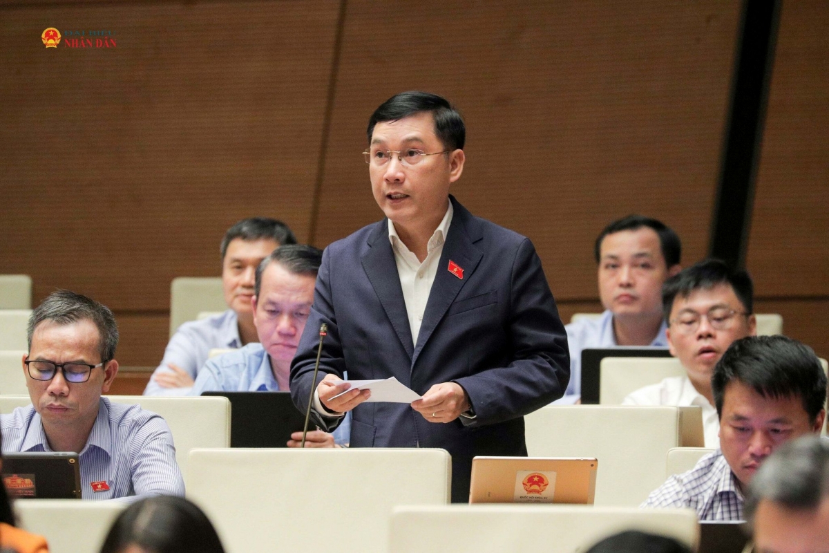 Le député de l'Assemblée nationale Lê Hoàng Anh prend la parole. Photo: Hô Long