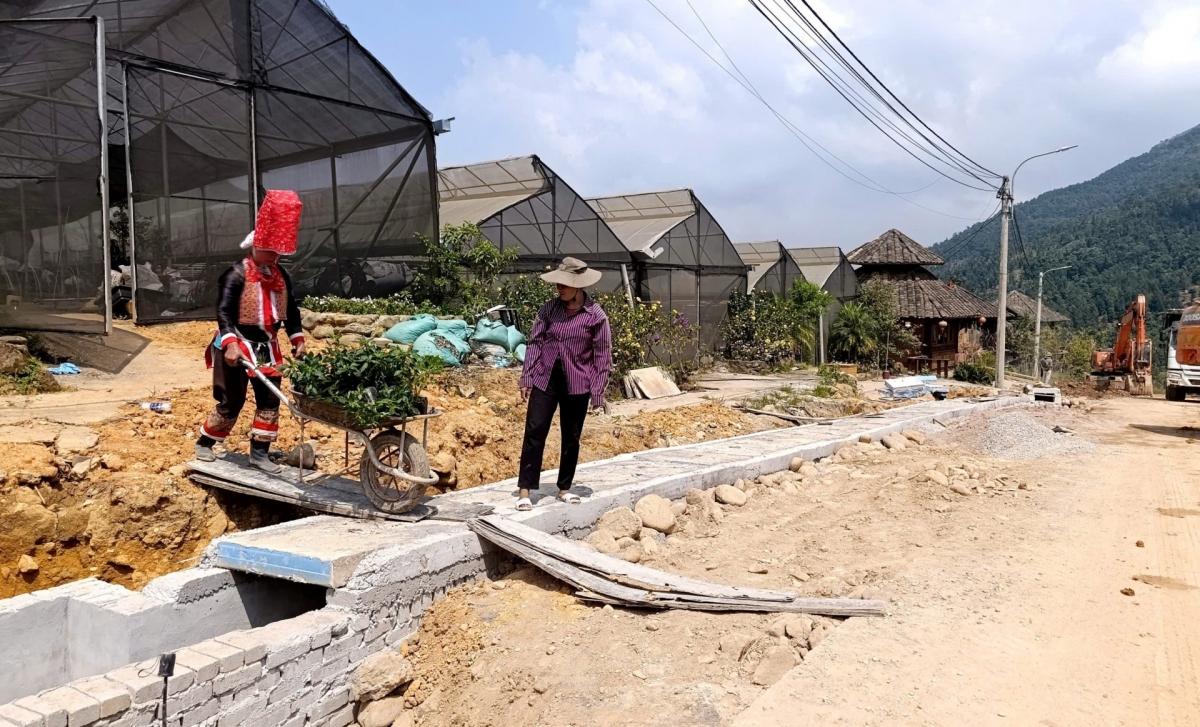 ប្រជាជននៅភូមិ Cao Son ឃុំ Hoanh Mo ចូលរួមធ្វើ​ពលកម្មក្នុងស្រុកដើម្បីបង្កើនប្រាក់ចំណូល រួមជាមួយនឹងការដាំដើមផ្កាចន្ទន៍ និងឈើអែម។ រូបថត៖ Vu Mien/VOV-ភាគឦសាន
