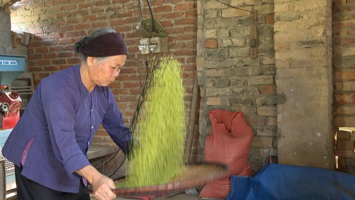 Nong Thi Binh has many years of experience making com. (Photo: VOV- Northeast)