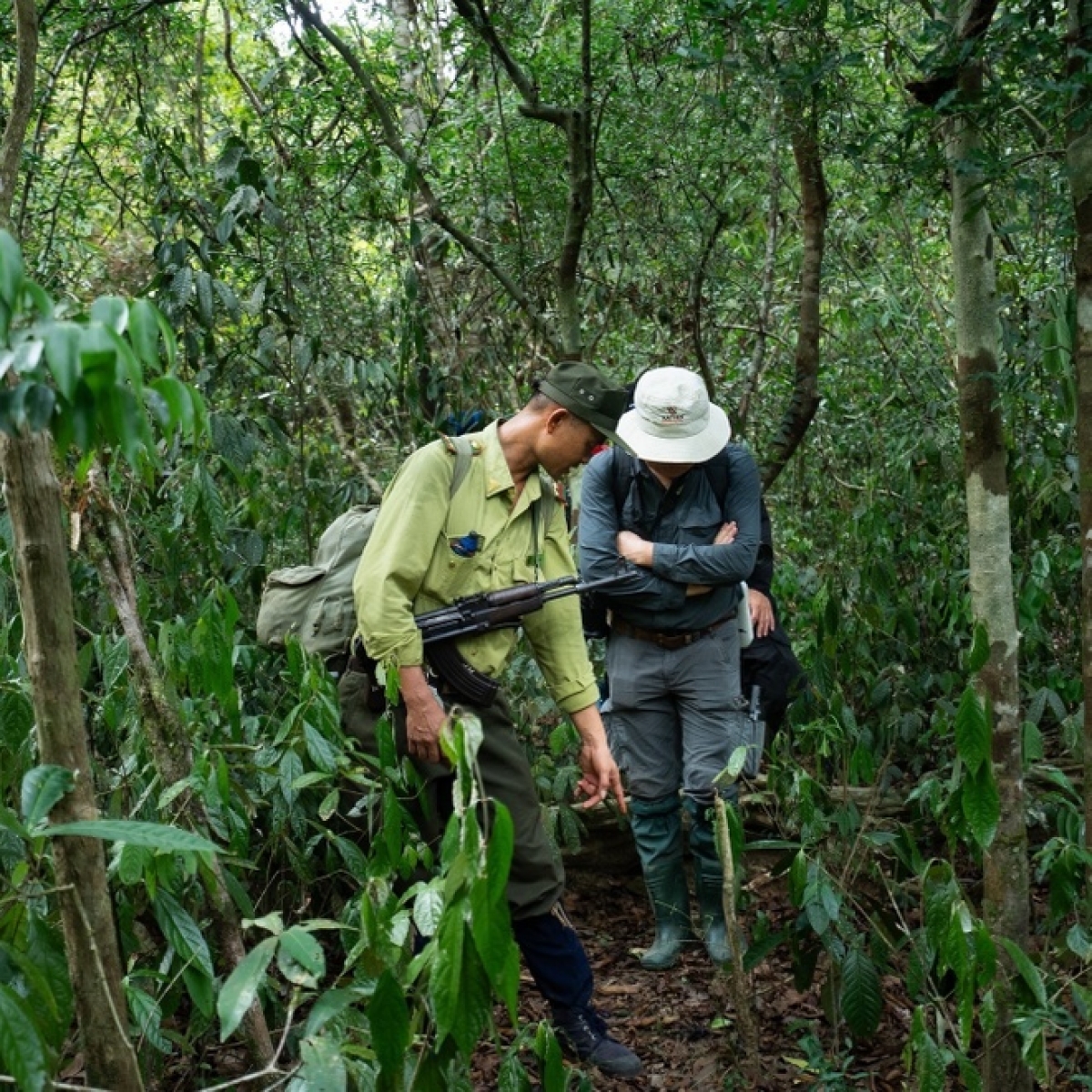 โครงการเดินป่าในอุทยานแห่งชาติก๊าตเตียนได้รับการเสนอชื่อชิงรางวัล "โครงการท่องเที่ยวดีเด่นที่สุดของโลก"
