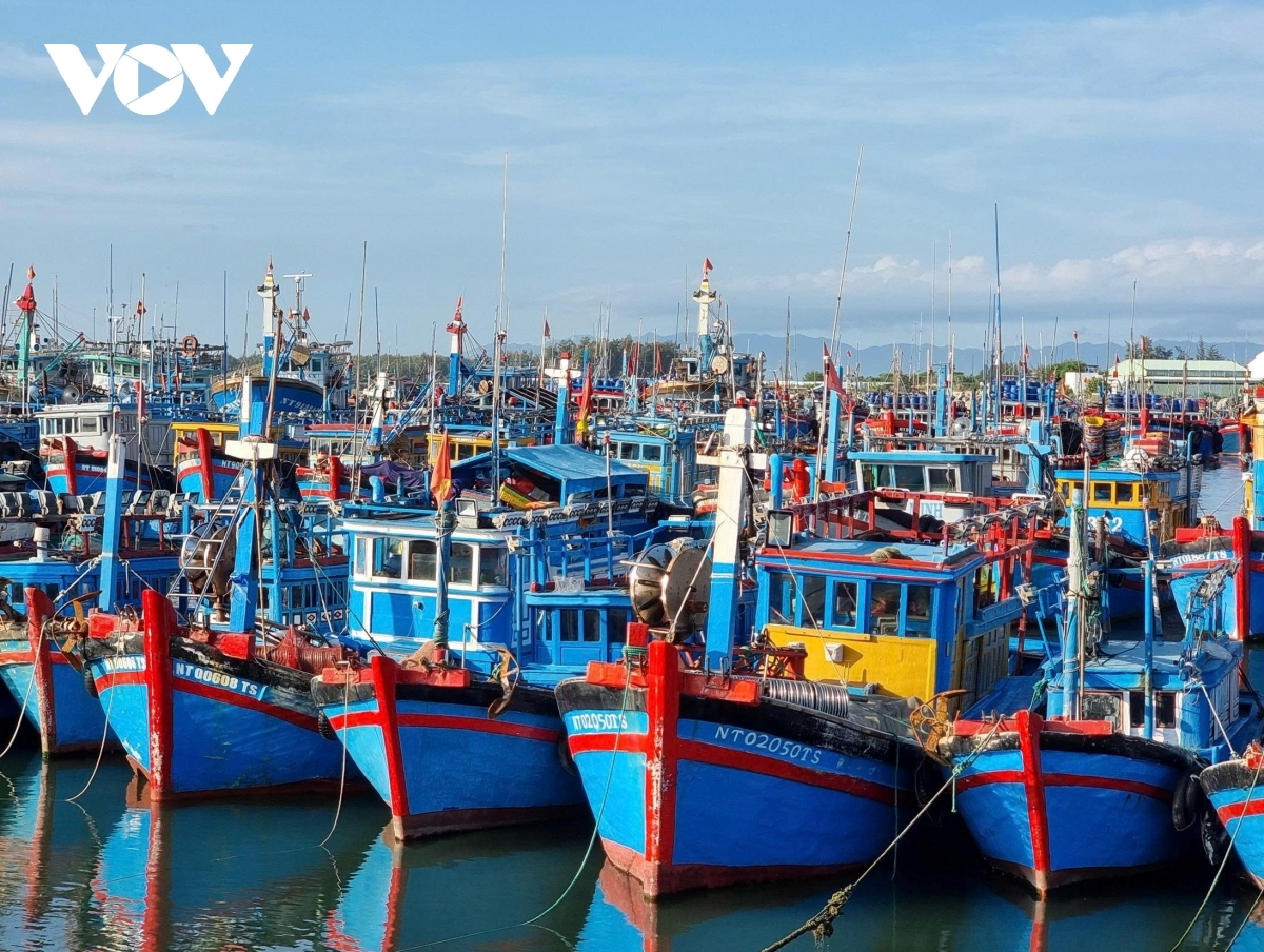 De la pêche côtière aux campagnes en haute mer, les pêcheurs vietnamiens exploitent une grande variété d’espèces, adaptées aux différents milieux marins du pays. Photo: VOV