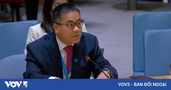 越南呼吁加强联合国安理会的透明度和包容性