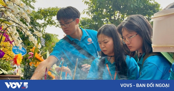 “500昼夜”战役：旅外越南青少年聆听烈士遗骸发掘工作介绍 深受感动