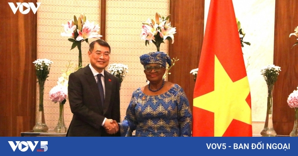 世贸组织继续陪伴、支持越南的融入国际进程
