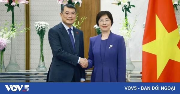 亚洲基础设施投资银行承诺与越南携手推动可持续基础设施发展
