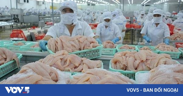 巴沙鱼对英国出口增长23%，便捷食品需求带来更多机遇