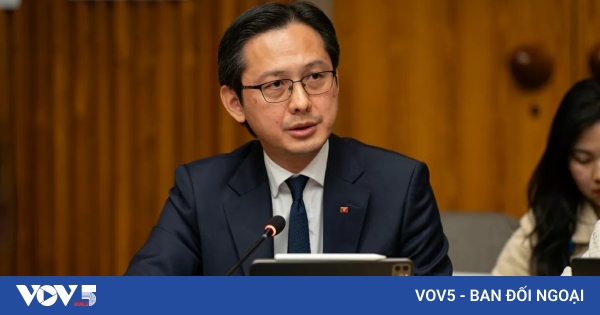 越南主动、负责任地应对世界共同问题