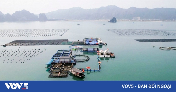 疏通与国家主权紧密相连的海洋经济资源
