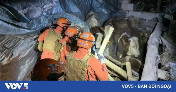 中国 新疆ウイグル自治区 M7.1の地震 3人の死亡確認 | VOV5.VN