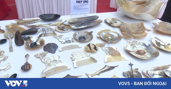 北部唯一の水牛の角櫛製造トゥイウン村 | VOV5.VN