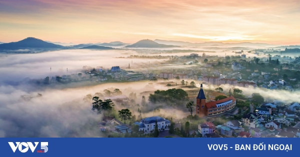 vov5-vn