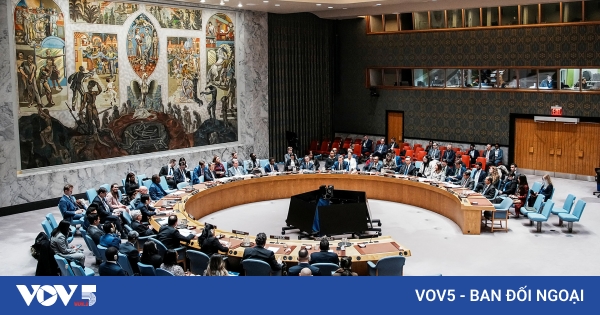 Somalia assumes UN Security Council presidency | VOV5.VN
