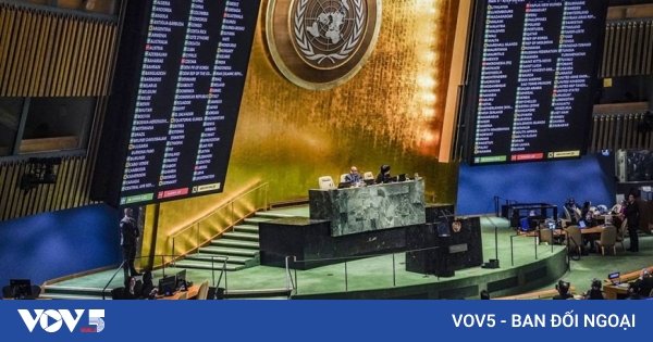 La ONU busca una reforma de la organización y conformar un nuevo futuro ...